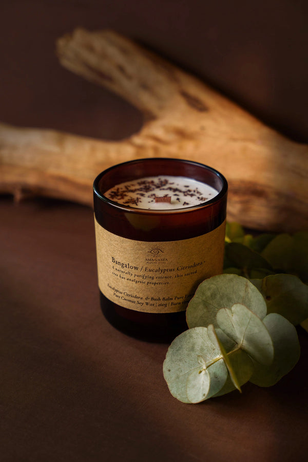 All Native Essential Oil Candles | Large Bangalow