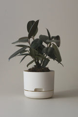 Mr Kitly Self Watering Plant Pot White Linen 170mm